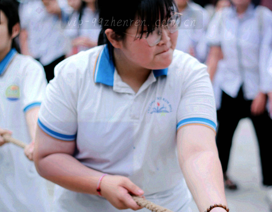 数字档案柜与查询索引抽象示意图